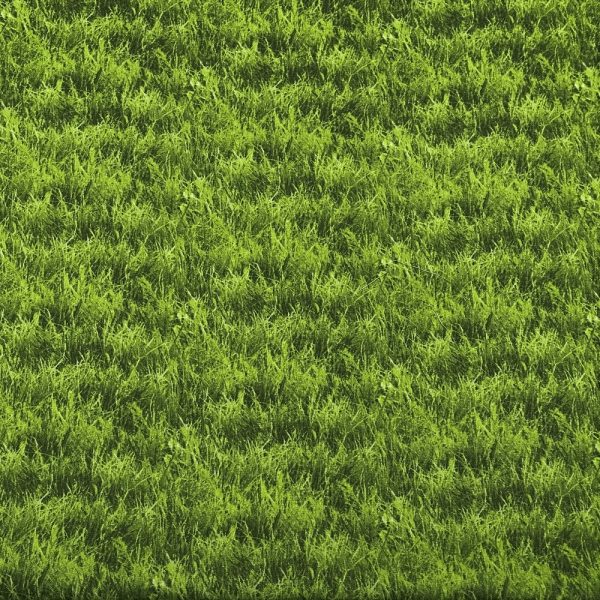 Elizabeth s Studio, Grass Fabric - Green Cheap